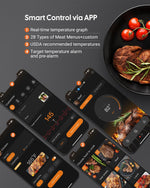 Wireless Dual-Probe Meat Thermometer