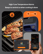 Wireless Dual-Probe Meat Thermometer